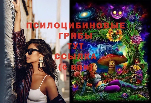 МДПВ Протвино