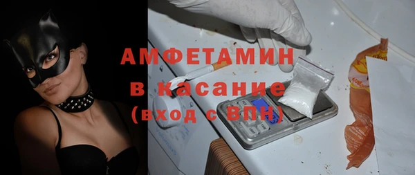 гидра Гатчина