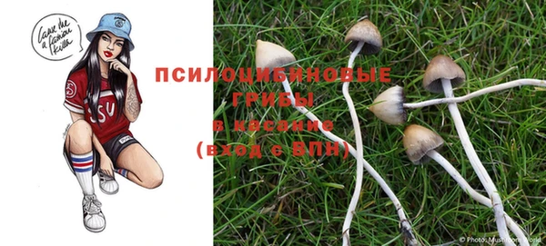 герыч Россошь