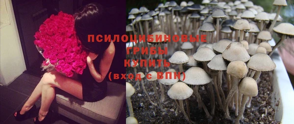 синтетический гашиш Ростов