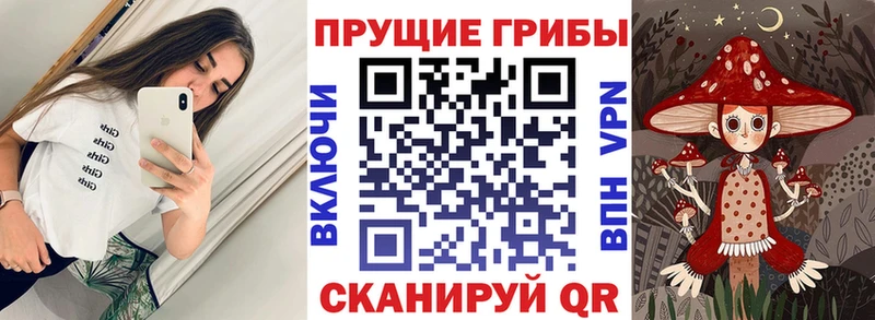 Галлюциногенные грибы Cubensis  цена   Балахна 