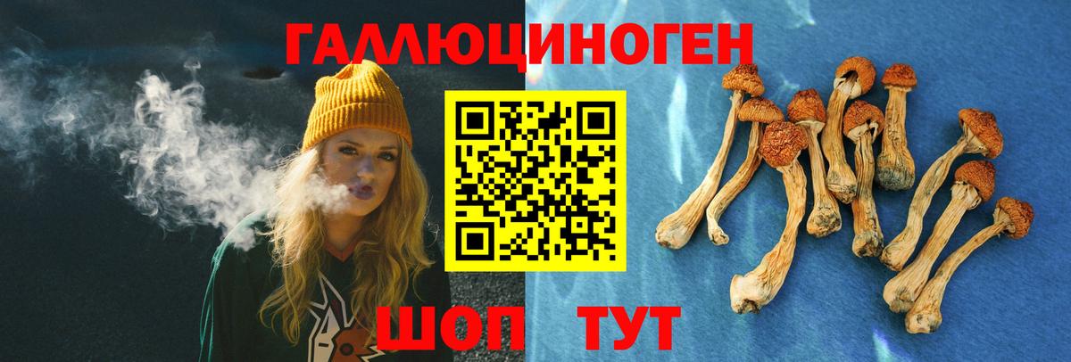 Балахна  Псилоцибиновые грибы MAGIC MUSHROOMS  Вход с VPN 